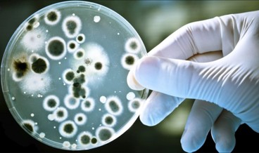 Proparacaine hydrochloride use Proparacaine hydrochloride use