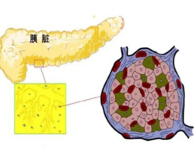 Bioglutide NA-931 Supply | Shaanxi BLOOM Tech Co., Ltd Bioglutide NA-931 Supply | Shaanxi BLOOM Tech Co., Ltd