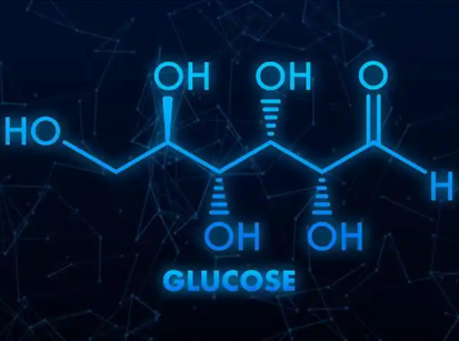 Bioglutide NA-931 Metabolic Pathways | Shaanxi BLOOM Tech Co., Ltd Bioglutide NA-931 Metabolic Pathways | Shaanxi BLOOM Tech Co., Ltd